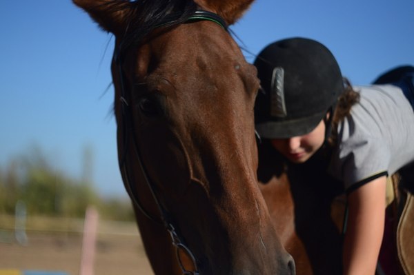 Наши неудачи