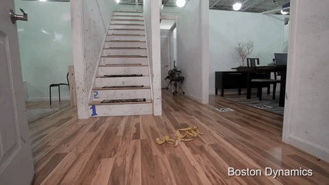   Boston Dynamics. Boston Dynamics, , , , 