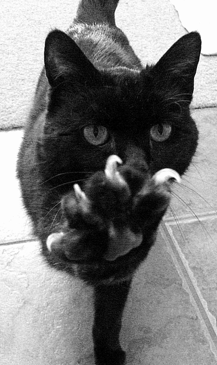 Хочется вспомнить ЯП)