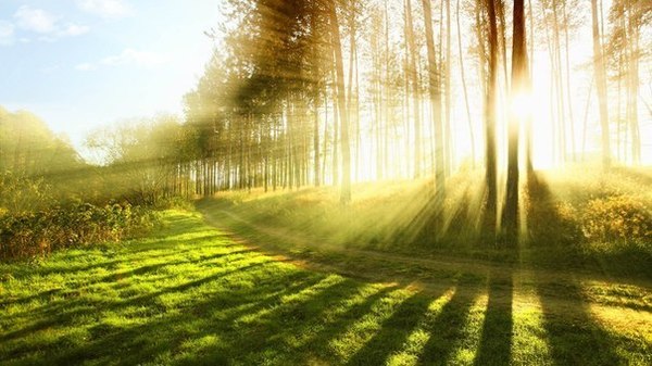 летняя природа. картинки онлайн летняя природа. картинки