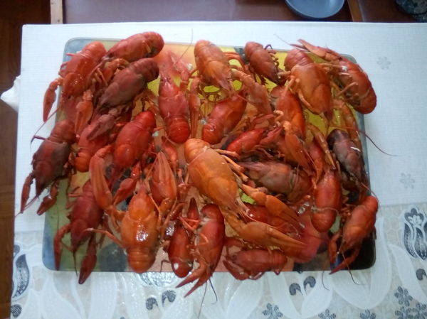 ������ � ���������