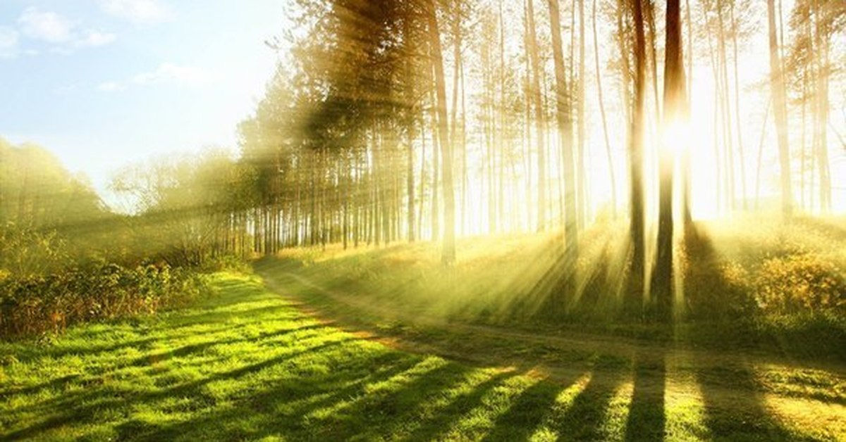 летняя природа. картинки онлайн летняя природа. картинки