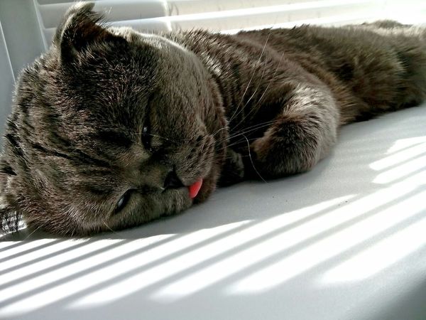 ������� � ������!!!