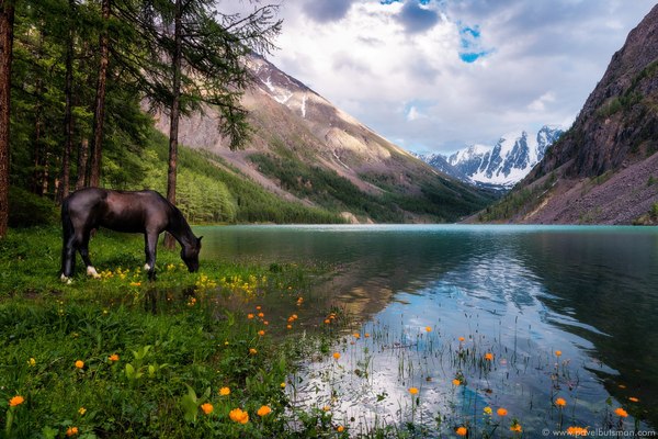 Родные Красоты