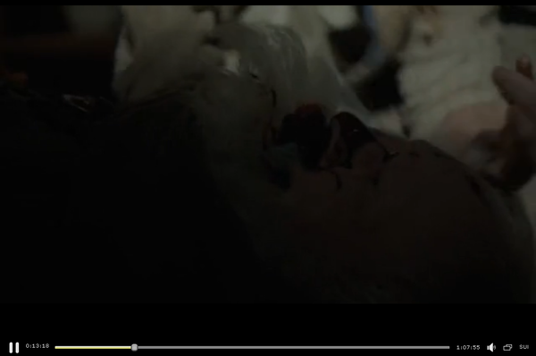 ������ ���� ���������