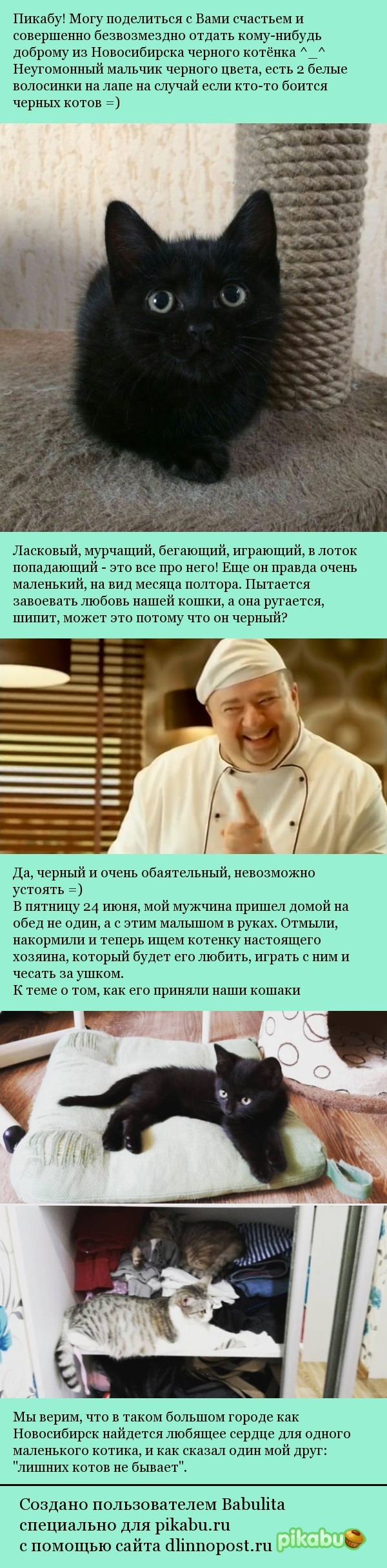 ������� ���� �����������