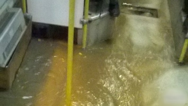 ��������� � �������� � ��� ���