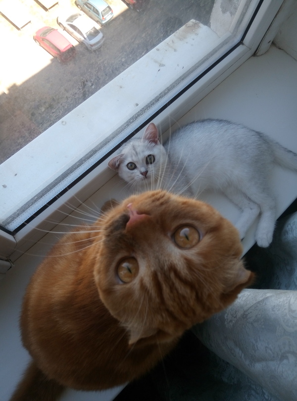 ������ ��� 2 ������