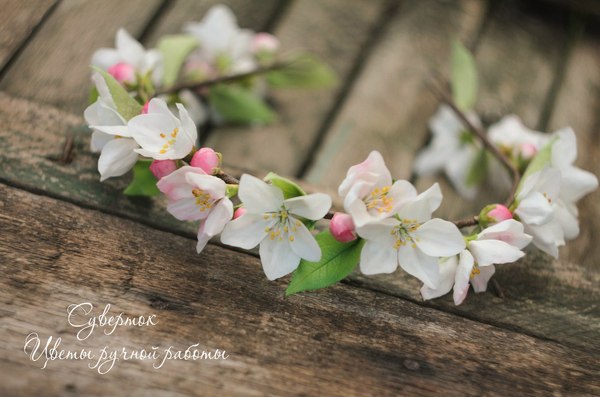 Хочу поделиться творчеством