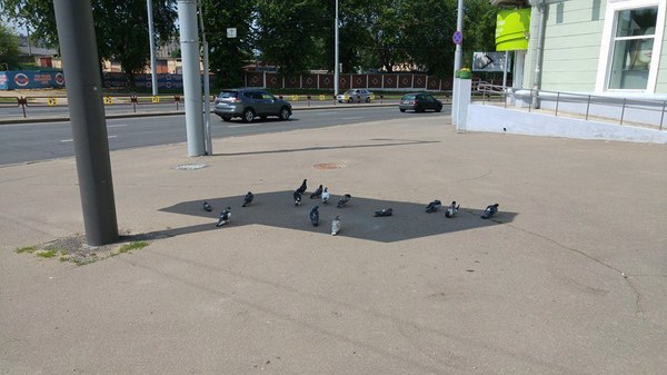 Коротко о погоде