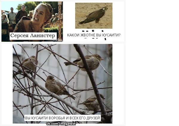 �������� ���� � �� + ���� ���������