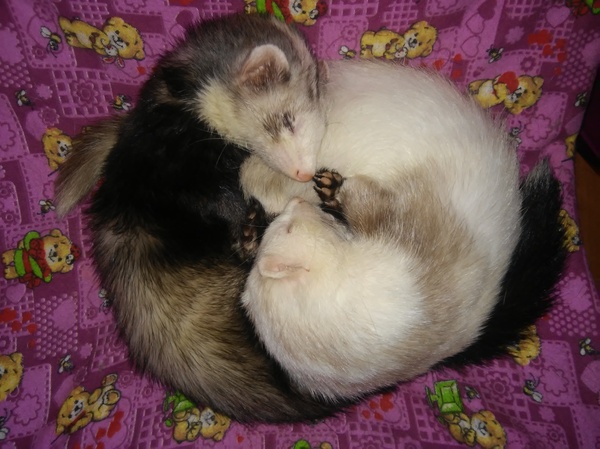 ��� � ��