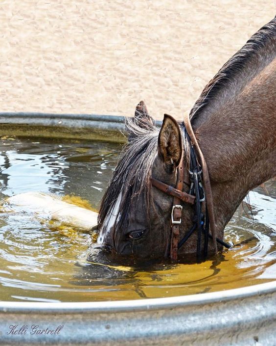 Коротко о погоде