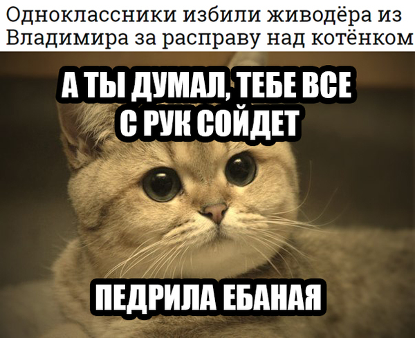  ! , , , 
