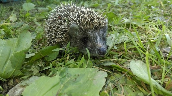 ������ ���������� �� ����� �����,�������� � ����� � �����