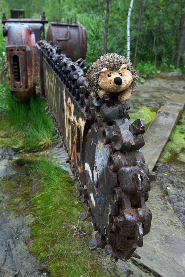 �����������