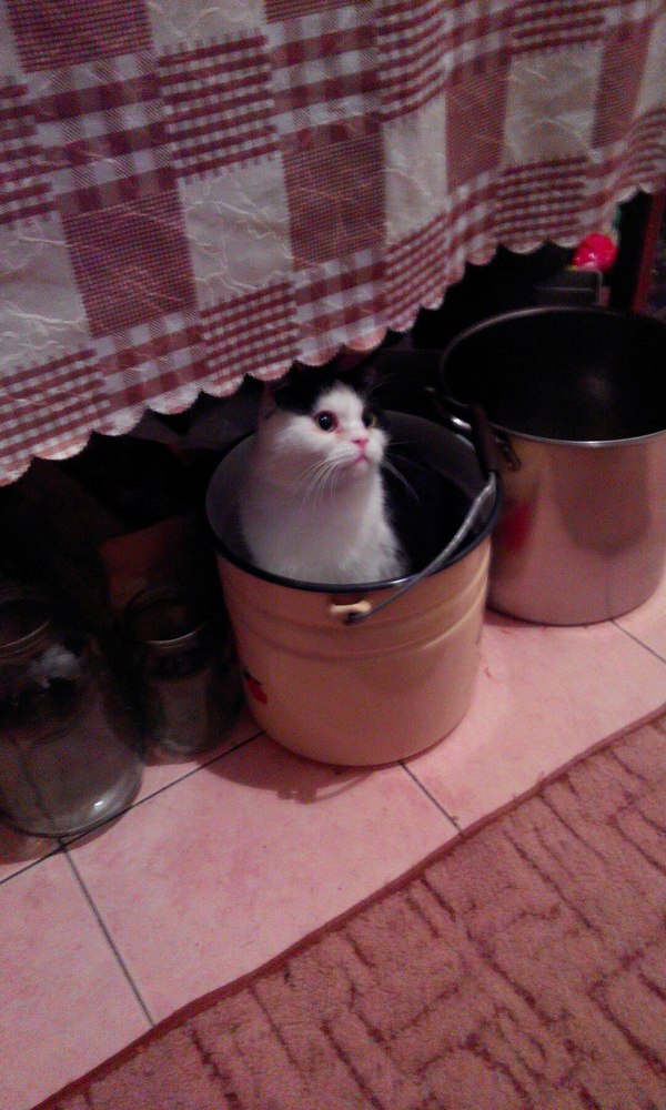 � � ���� ���������