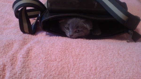 � ���� ����� �������� ����!