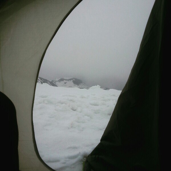 ������� 2016, ����