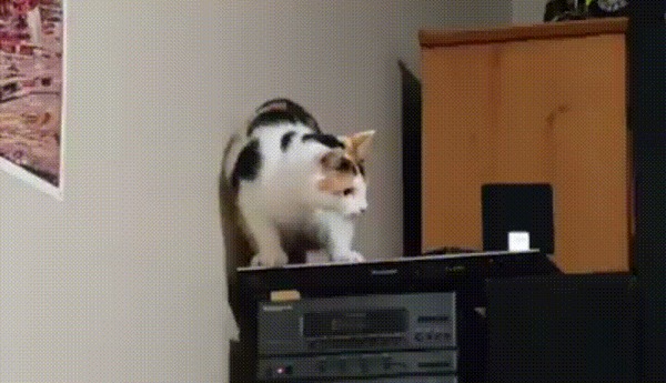   ?!