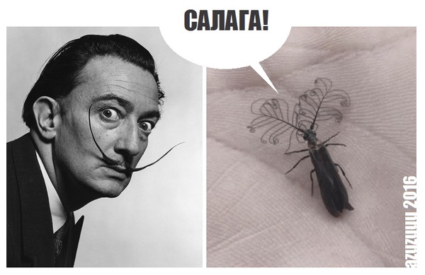 ���������-������...