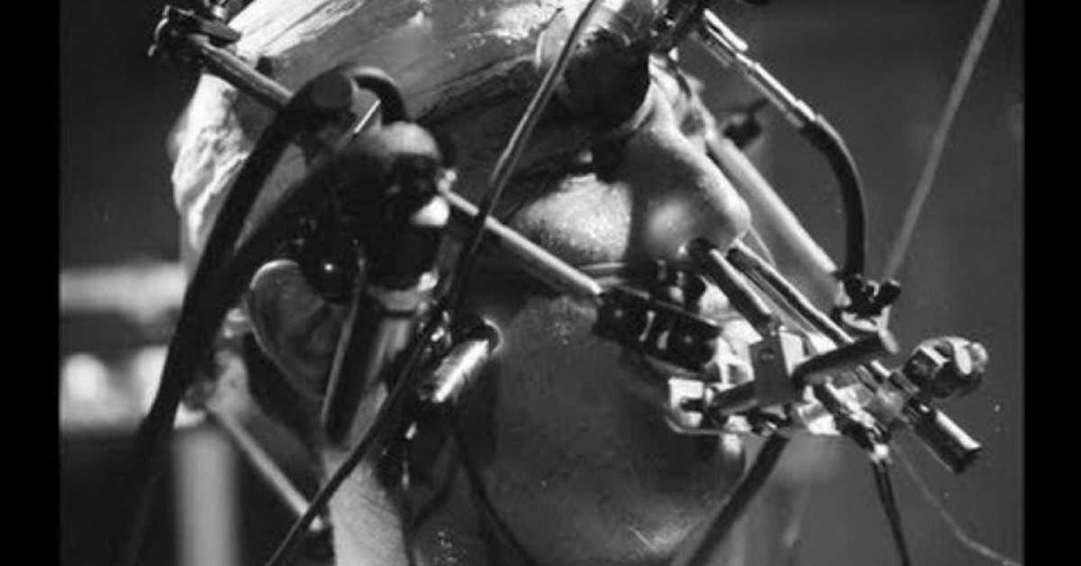 Самые опасные эксперименты. Самые жуткие эксперименты. Самые опасные эксперименты. Самые опасные эксперименты. Самые опасные эксперименты.