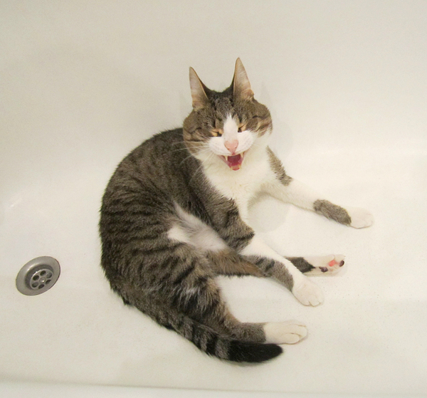 ��������� �� ������� ���������.