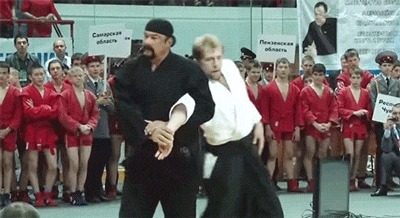 Когда лучше не рисковать Стивен сигал, Айкидо, Гифка