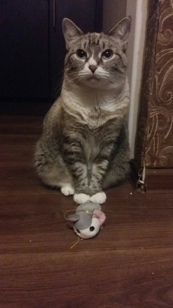 �������� ������