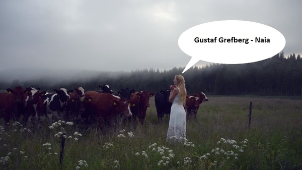   ? , Gustaf Grefberg, Brothers - a Tale of Two sons