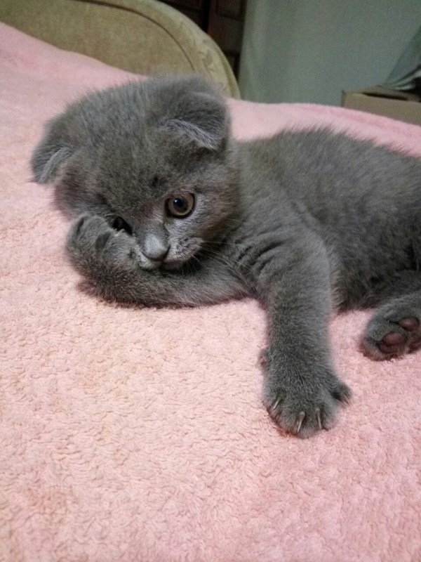 ������ ��� ��� �������� ���������...(��� ��� ���� ���� �� ����������� ���� ����)