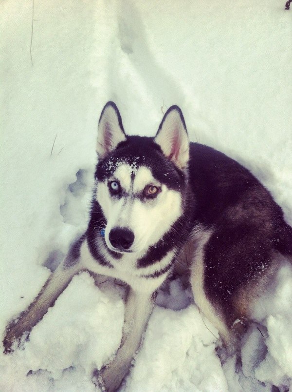 All you need is love. � ����� ��������...