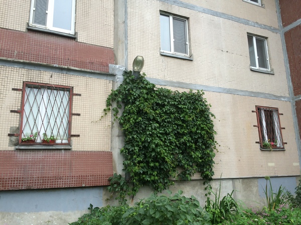 Ночной режим по умолчанию