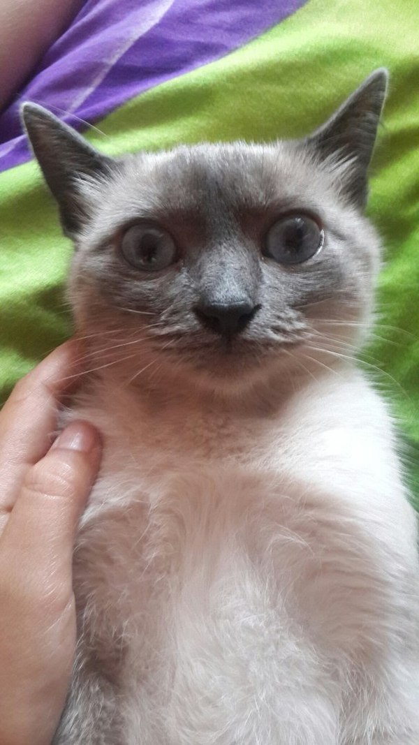 ,   ...   ,     ,     .  ,  .