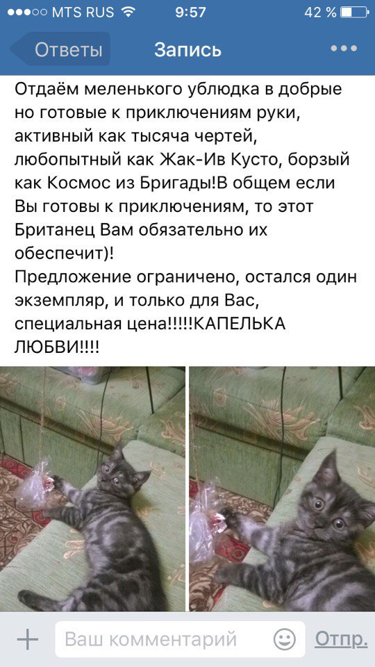 Вот такое объявление