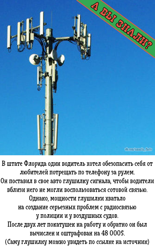   ? , , Amazin facts, , 