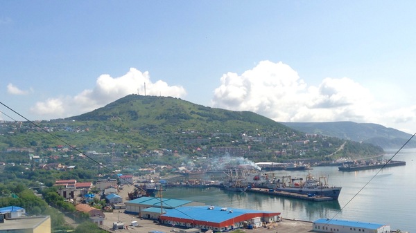 Просто вид из окна.