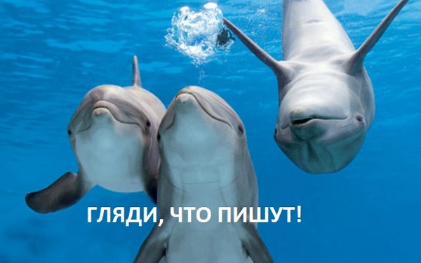 �������� - ��������