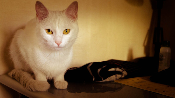 � �� ����� � � ����� � ��������� �����?