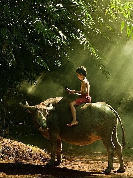 Childhood without internet!!! - Children, Internet, A life, Wild animals, Longpost