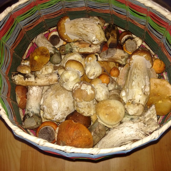 Вот все жаловались на дожди в Питере, а я наоборот рад