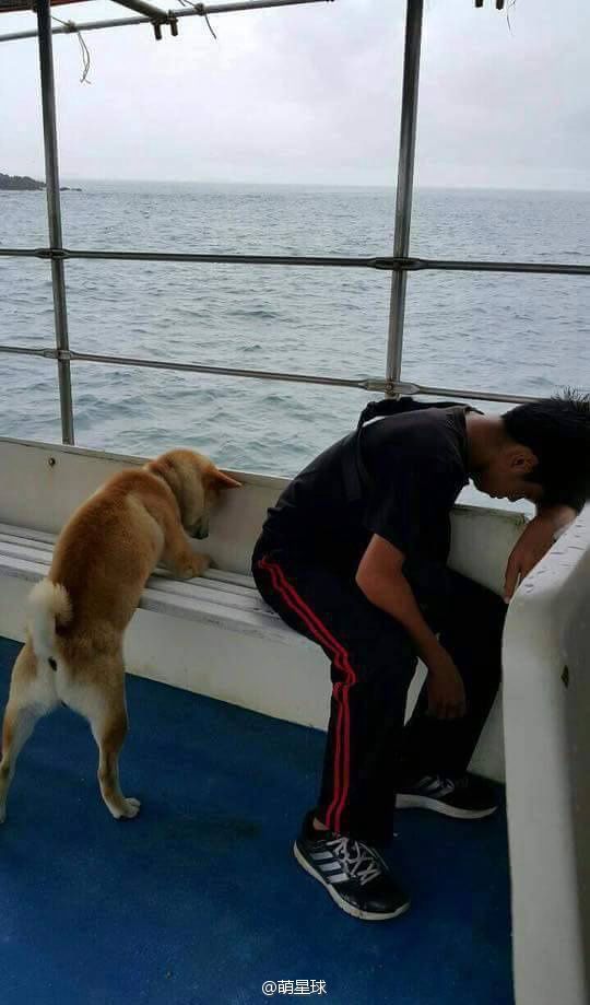   , , , ,  