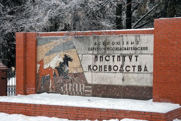 самый ближайший кск куда можно устроиться