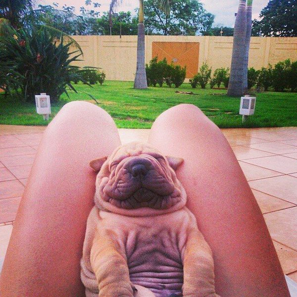 ��� ���� �� ����� ������������