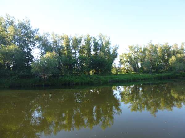 Природа приуралья