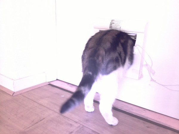 &quot;    -   !&quot;