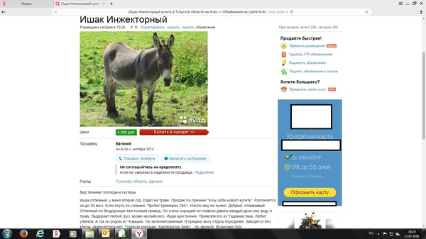 � - ���������