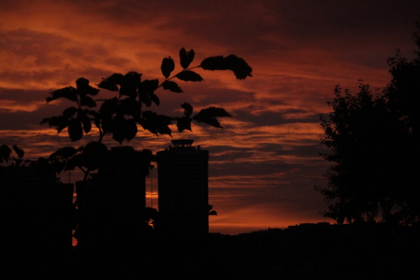Немного Московского рассвета вам в ленту