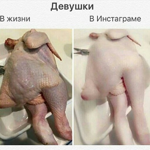 ����� ��� �������