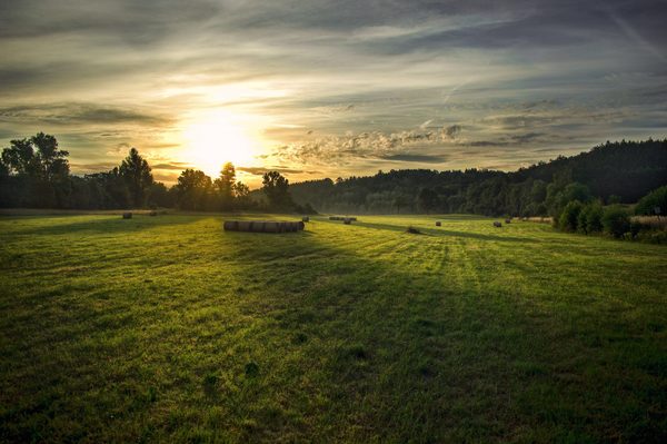 �������������